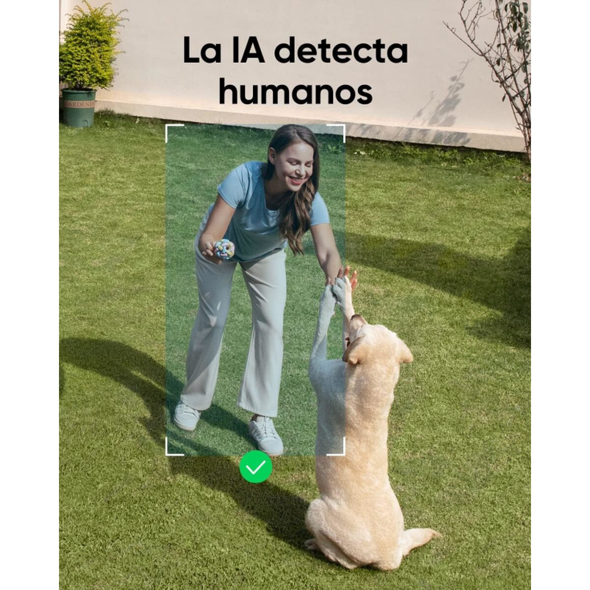 V3HCC9B3471253F6A952581F2E509773962R6170259P5