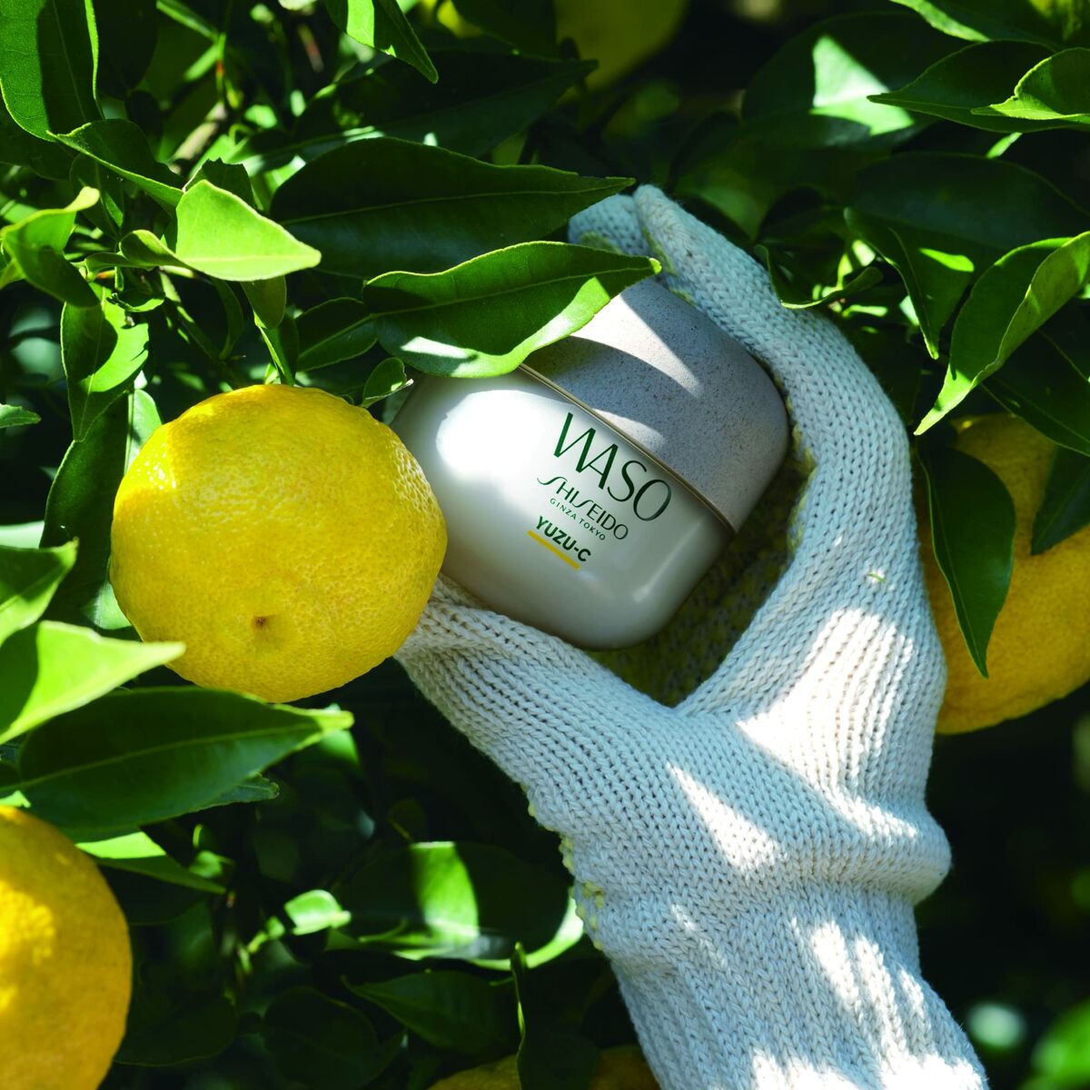 V3HF78FCFA6A6BBF5E601AEA32313A7D51ER6245959P9