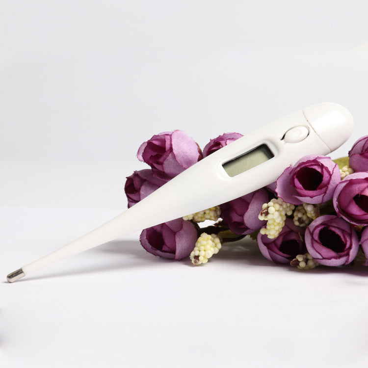 Électronique thermomètre