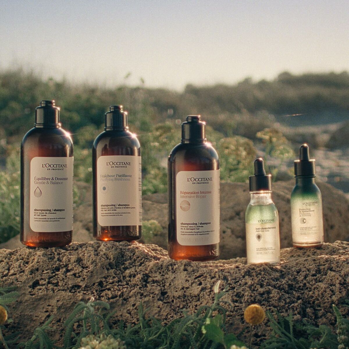 V3H34064235A837E1209A7F4976DF671B88R6240515P7