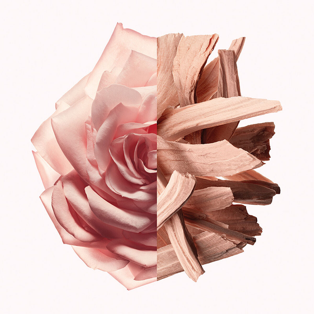 V4H4C4C5D73CD2087F0BEFB4F64BC079E68R5674604P3