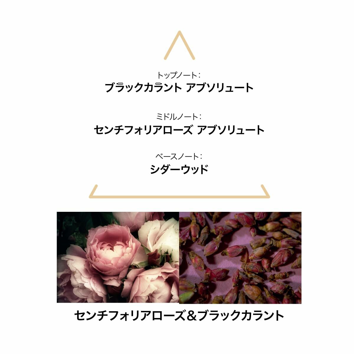 V4HD19E1FBA8EDA7C6FBEC8638ABDBA70F1R6154448P3