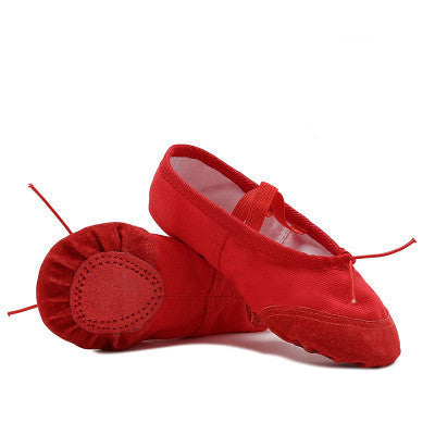 Cat claw shoes ballet dance shoes