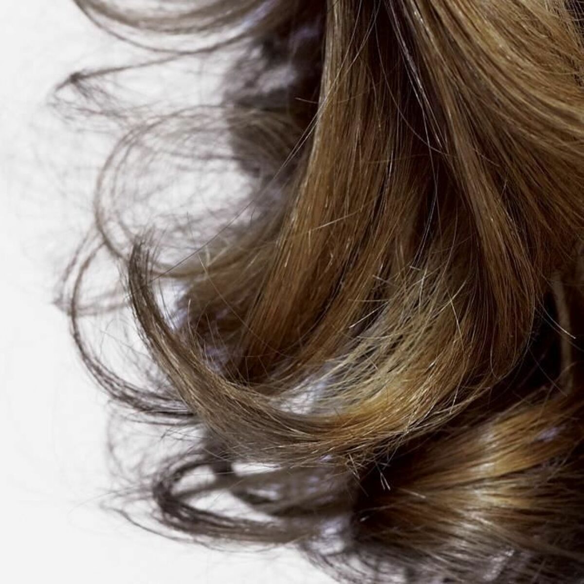 V4H738CE32E7F02C259A284CB47594422D7R4410060P6