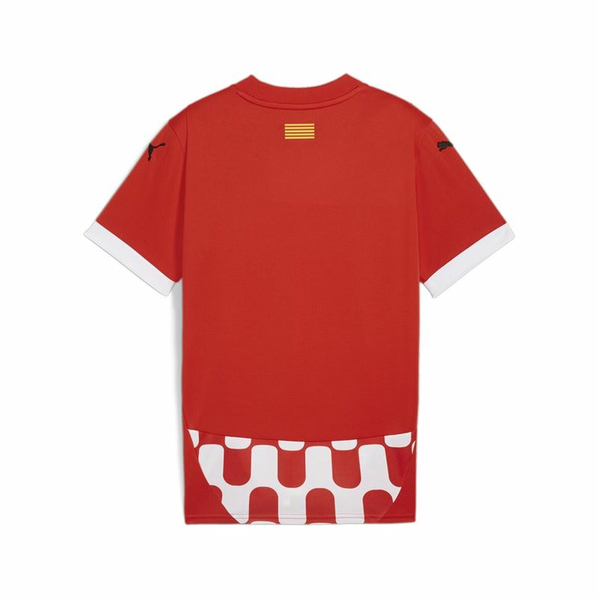 V3H53CFB4258718C2EEAA1DD8E808436DC6R6082154P2