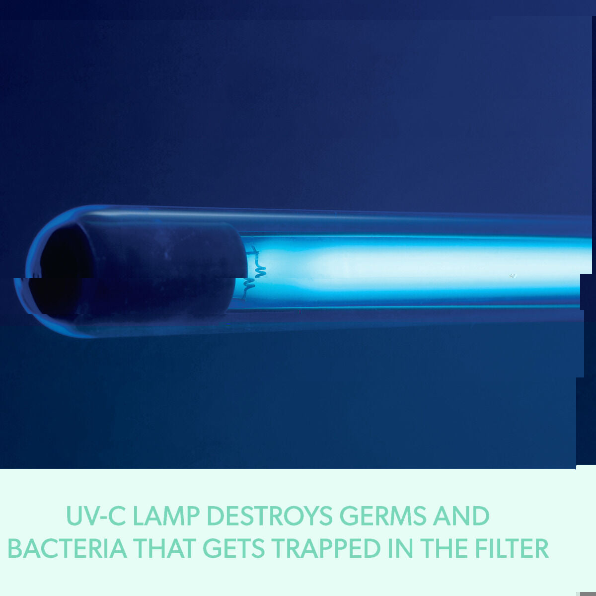 V3HBE9E1720619900AC97F12324EFFB1C1AR5565179P9