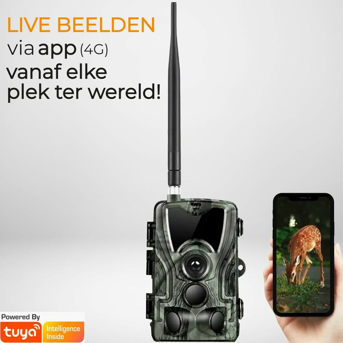 V4HBAE27E47E5CEE21A65C6E32B710CDB12R6643278P6