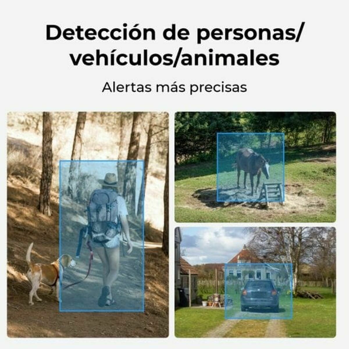 V3H986C83E8C69C17A3936B3989B0CA8FD6R5610051P6