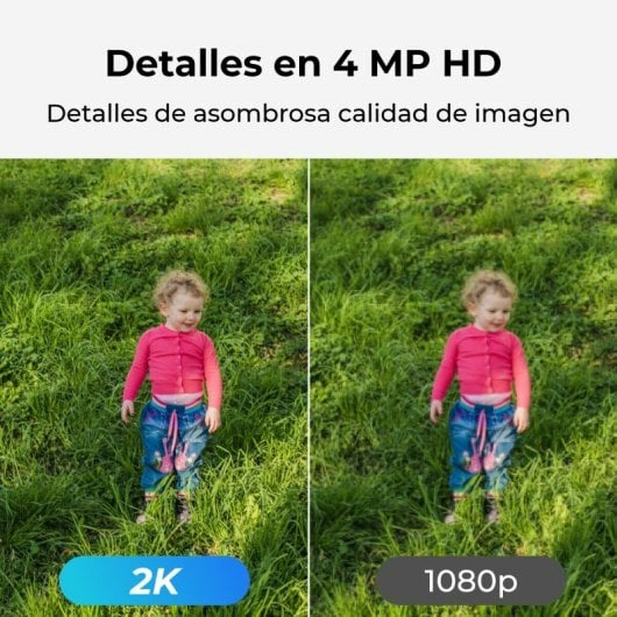 V3H6D131DFFED61ED04FC926D754E46B8C4R5555742P2