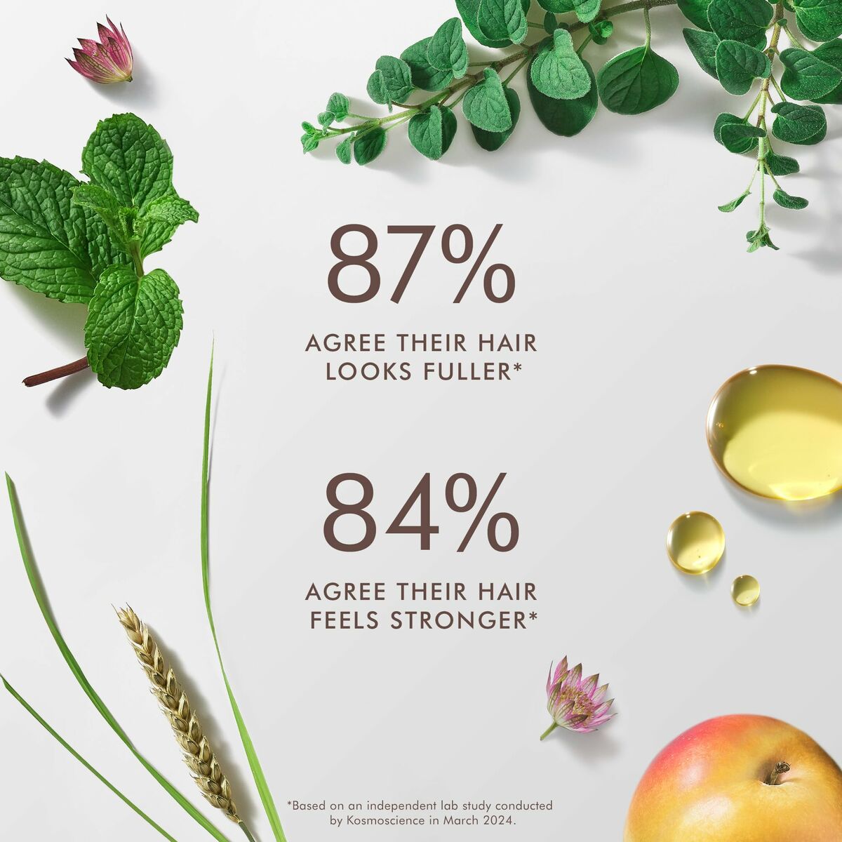 V3HC08E3BFCE4336D6921AD7D00A48079F3R5936069P3