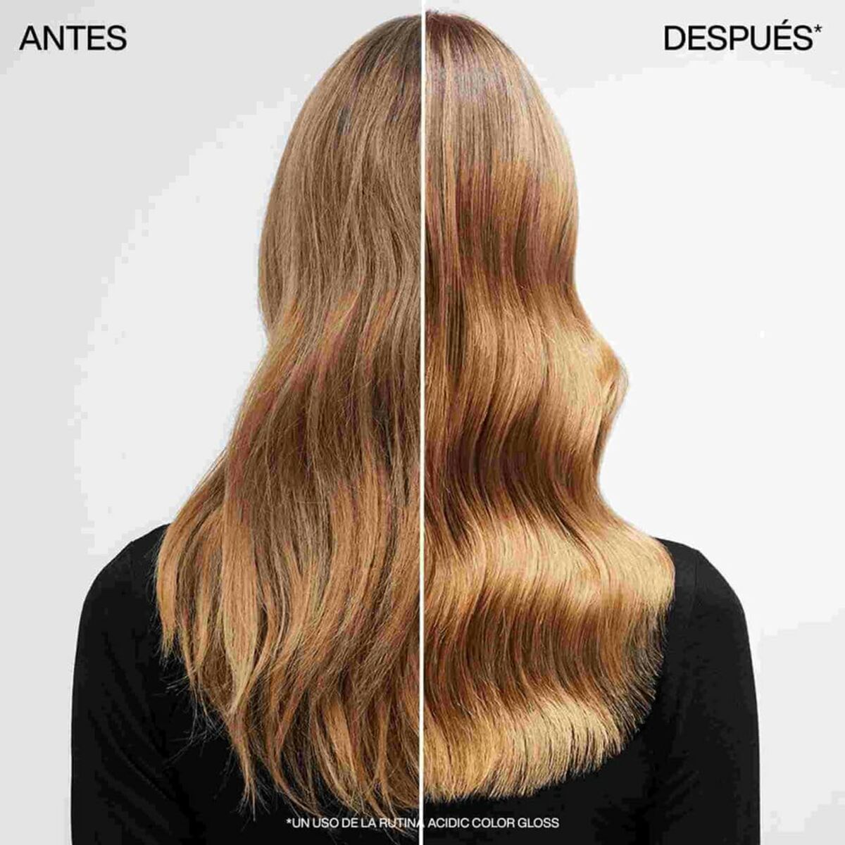 V3H07196A0DDE7C6C71953E79813A1F2CFCR5718354P4