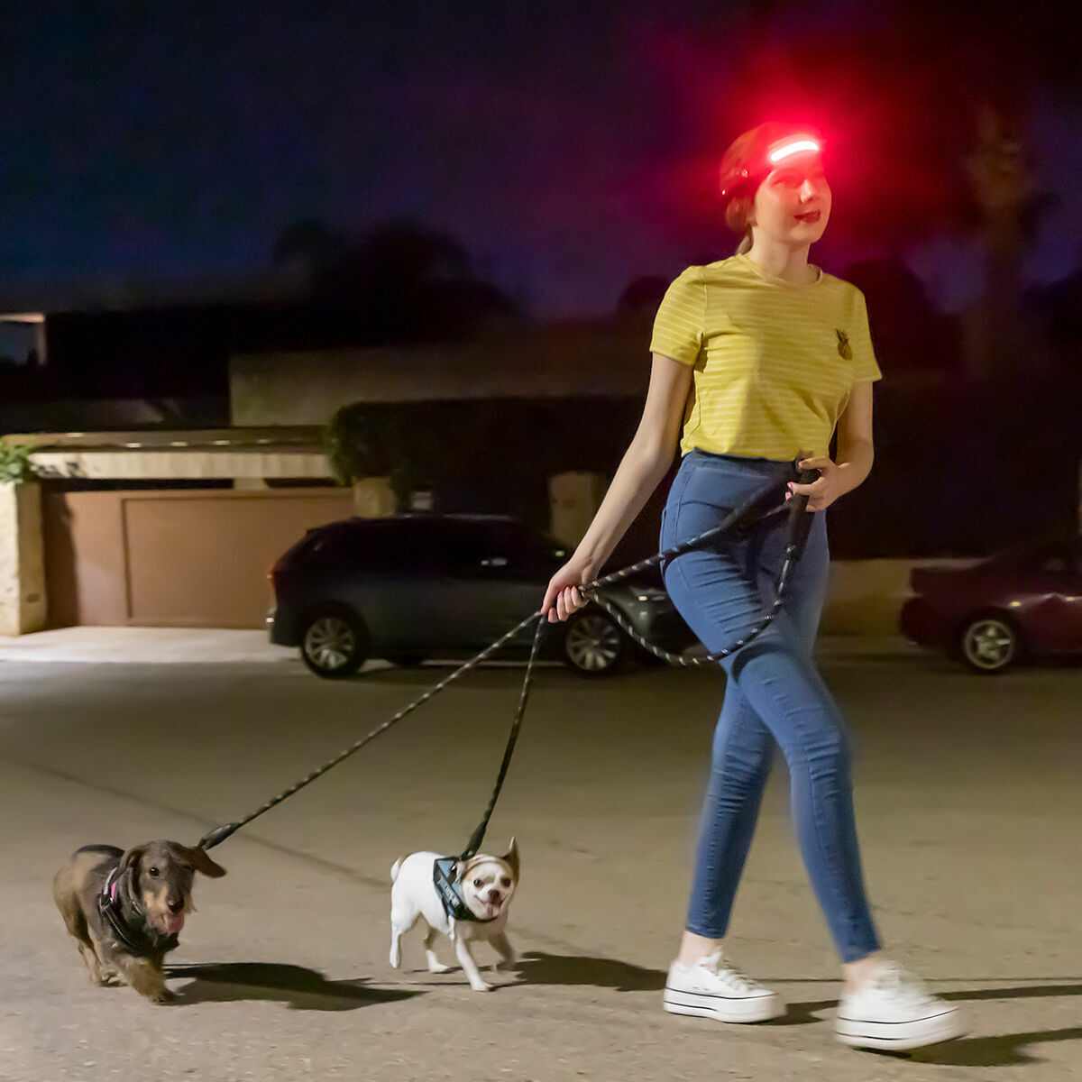 V9H2779619EE9D95895263BE4434F8081DAR5222736P6