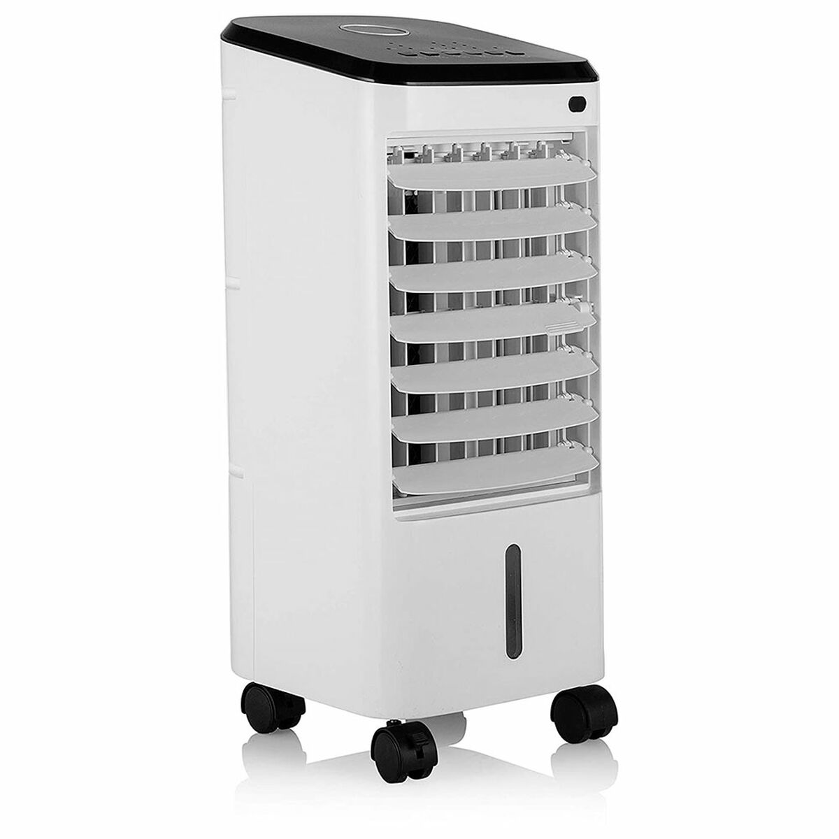 V2H3F461FF3B17CE0A5E60AC81520373A7AR6767096P2